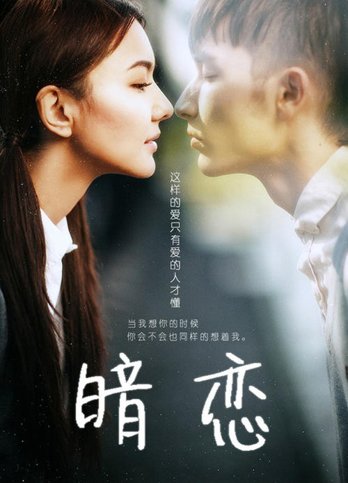 卡里亚里音乐学院 Media diploma